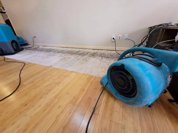 Professional Structural Drying technician working in Stewartsville, MO